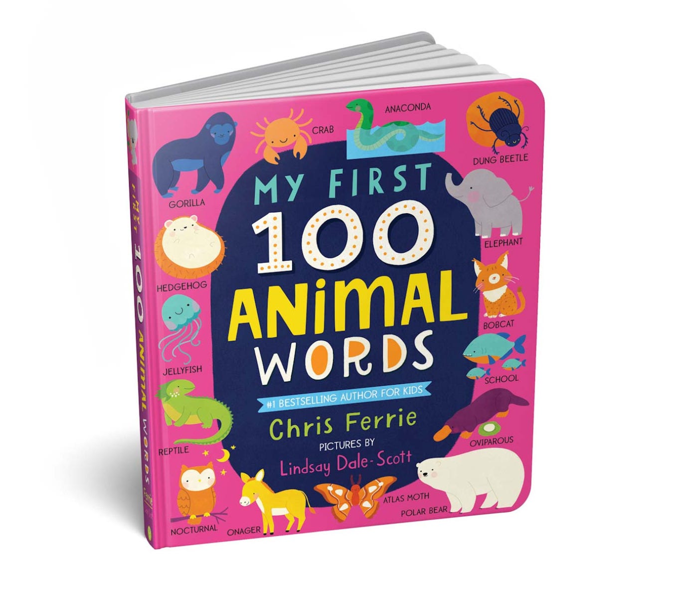 'My First 100 Animal Words' Board Book | by Chris Ferrie