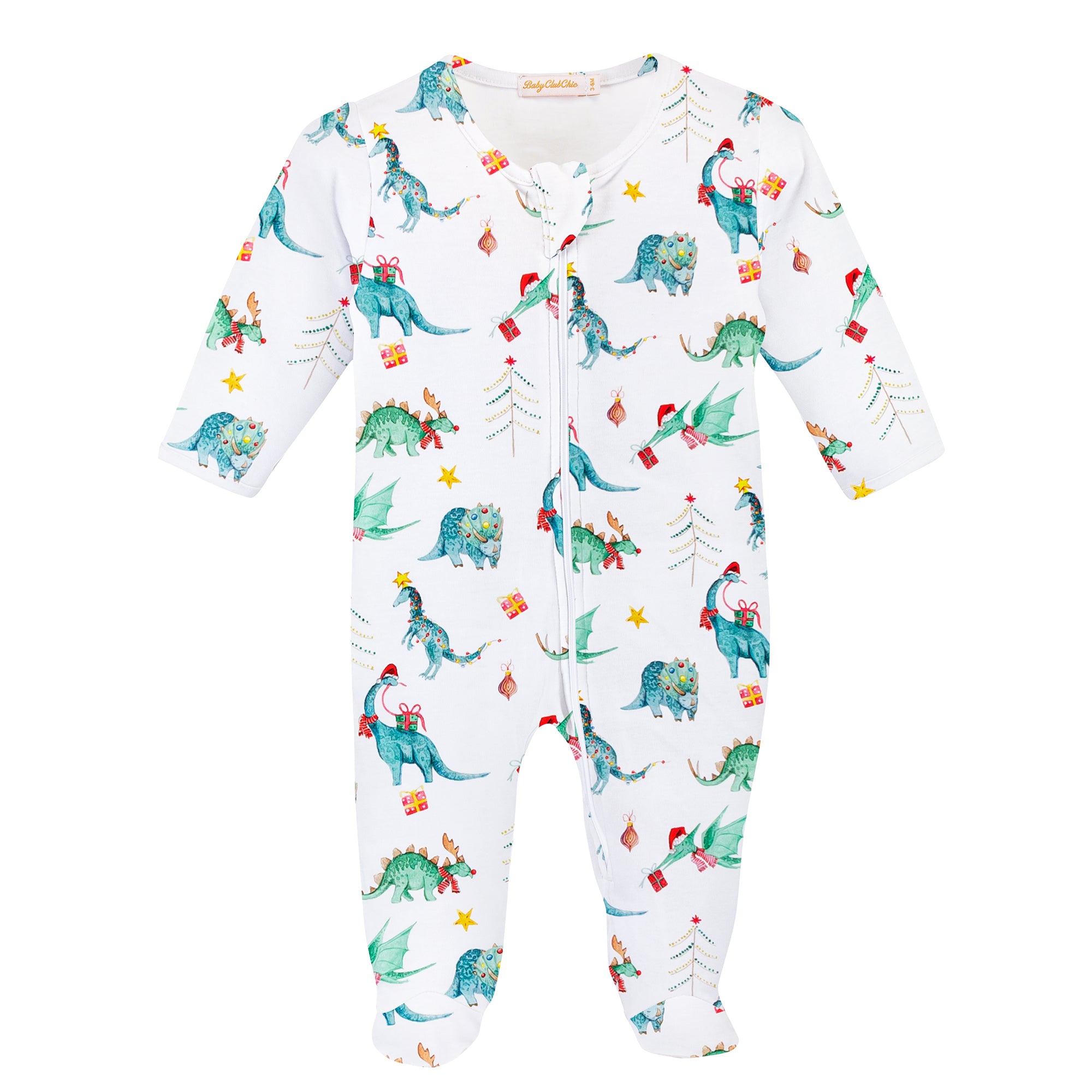 Jurassic Christmas Printed Zipped Footie