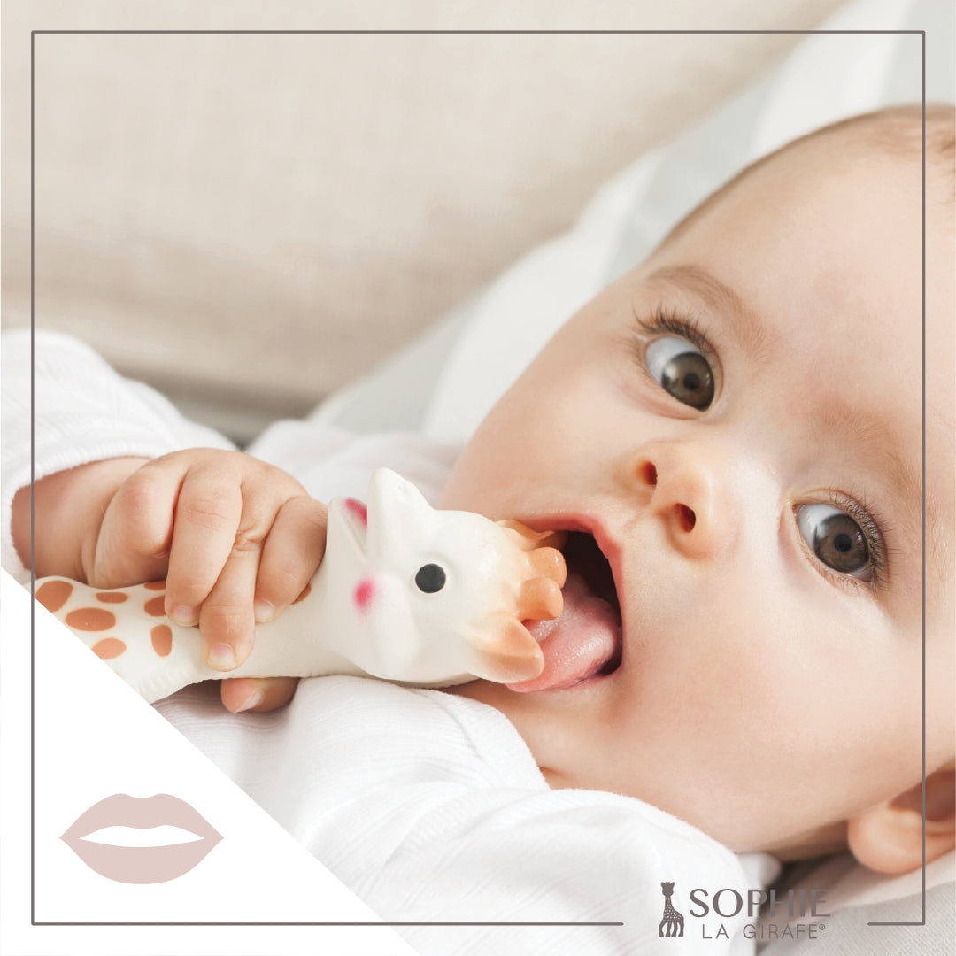 Sophie the Giraffe | White Box Teething Toy