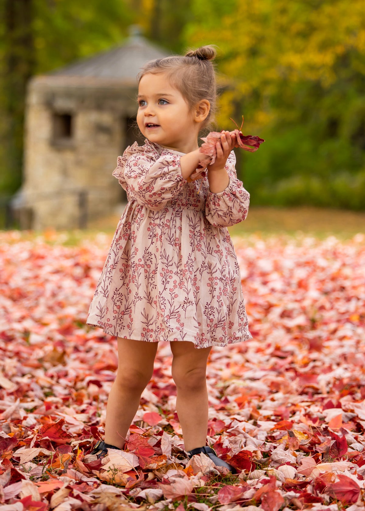 Smocked Autumn Dress